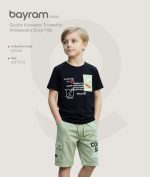 Boys’ 2-Piece Set: Round Neck Shirt and Shorts - Image 2